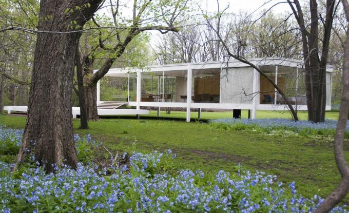 en etagers glas sidet hus hævet fra jorden på moler i landlige omgivelser midt i træer og blå blomster