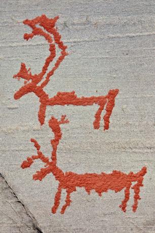 Alta Fjord Reindeer Petroglyphs