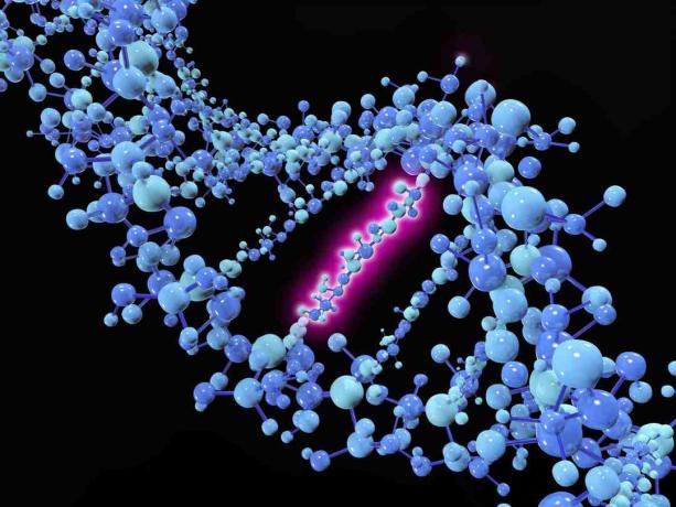 En punktmutation er en genetisk mutation, hvor en enkelt nukleotidbase ændres, indsættes eller slettes fra en sekvens af DNA eller RNA.