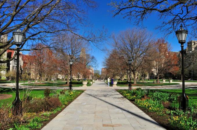 Quad, University of Chicago