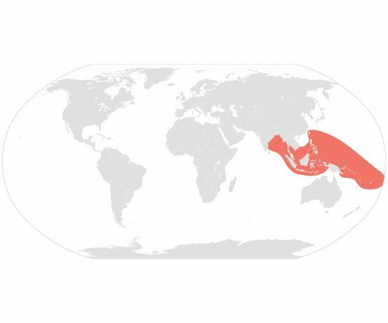 Forbundet havkrait (Laticauda colubrina) distribution.