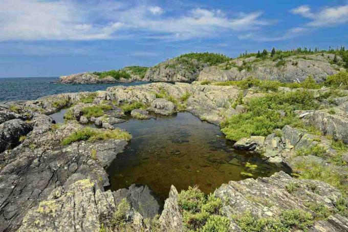 Biome er store regioner på jorden, der har lignende egenskaber som klima, jord, nedbør, plantesamfund og dyrearter.