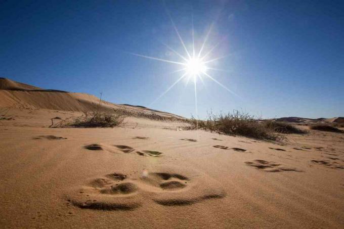 Sandklitter mod blå himmel og lys sol