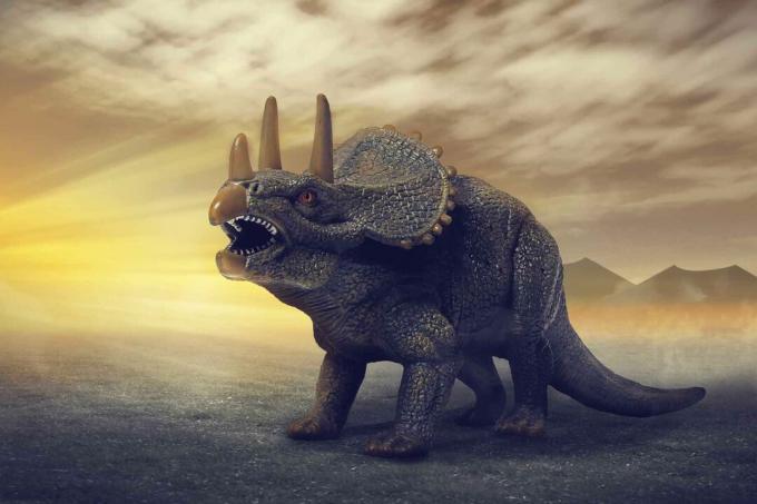 En Triceratops-dinosaur.