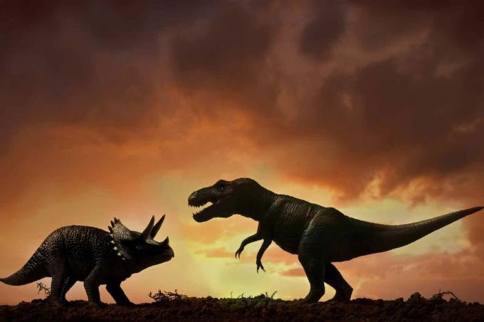 En Triceratops og en Tyrannosaurus Rex.
