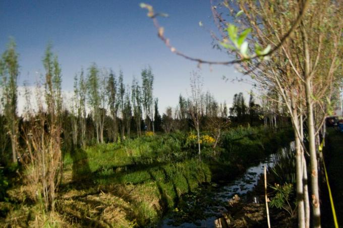 Chinampa feltscene, Xochimilco