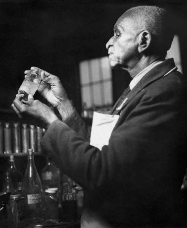 George Washington Carver på arbejde i Tuskegee i september 1938.