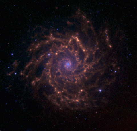 Galaxy M74 i Fiskene
