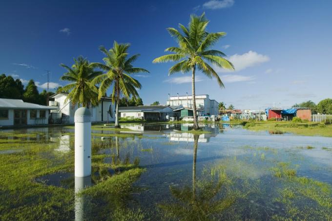 Tuvalu - Den druknende nation