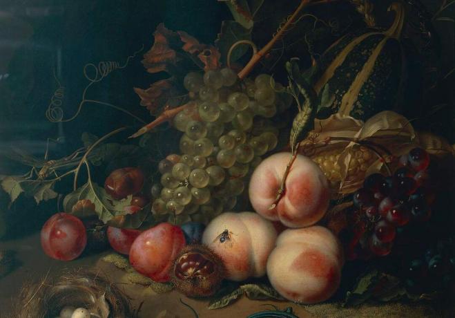 Comp Gem til bord Italien, Firenze, Stilleben med frugt og insekter af Rachel Ruysch, 1711, olie på lærred, detalje