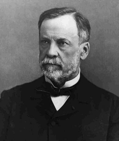 Forsker Louis Pasteur