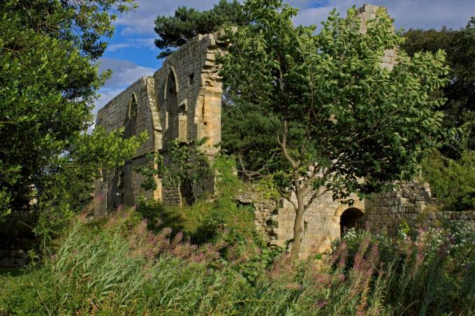 Jervaulx Abbey, nær Masham, North Yorkshire, England