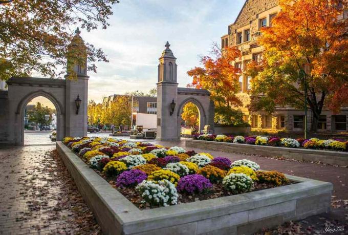 Elsk min skole, især i efteråret - Indiana University Of Bloomington