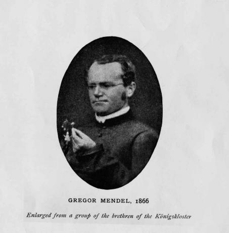 Den østrigske botaniker Gregor Mendel