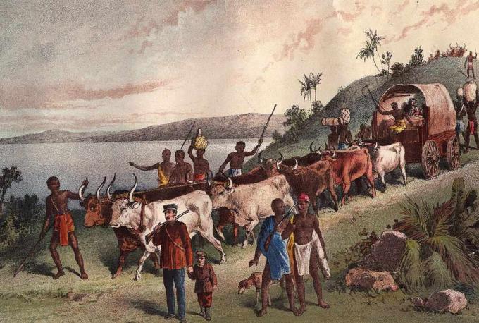 omkring 1855: Ankomsten af ​​den britiske opdagelsesrejsende, David Livingstone og fest ved Lake Ngami.