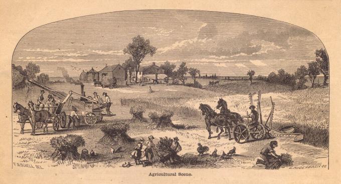 Gammel, sort / hvid illustration af landbrugsscene fra 1800-tallet