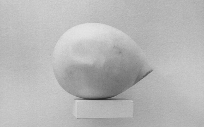 Constantin Brancusi leder af Prometheus