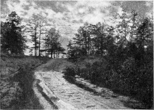 Sted, hvor Aaron Burr blev fanget, nær Wakefield, Alabama.