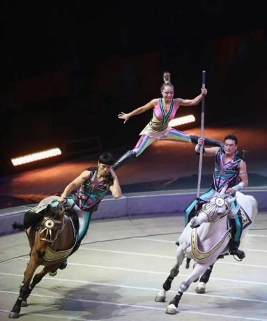 Kunstnere under et live-cirkusshow, en kvinde, der balancerer mellem to mænd, der kører på heste.