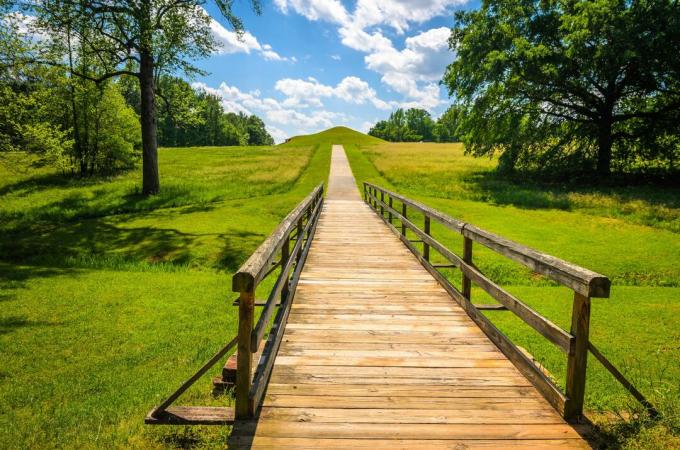 Ocmulgee National Monument