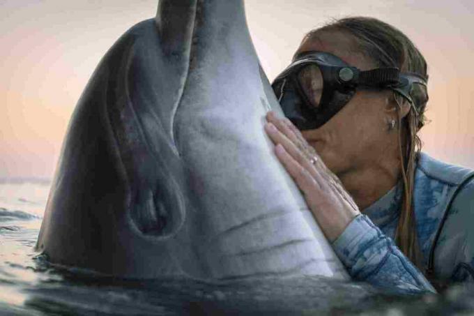 Interaktioner mellem mennesker og flaske-delfiner er normalt venlige.