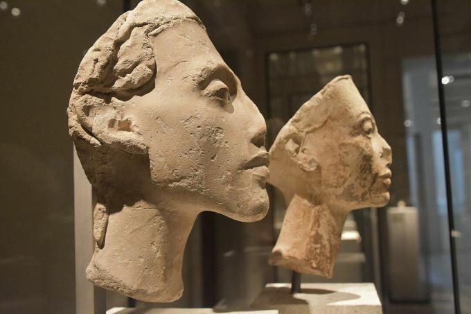 Buster af Nefertiti og Akhenaten, profilvisning.