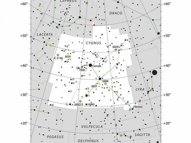 Konstellationen af ​​svanen Cygnus.