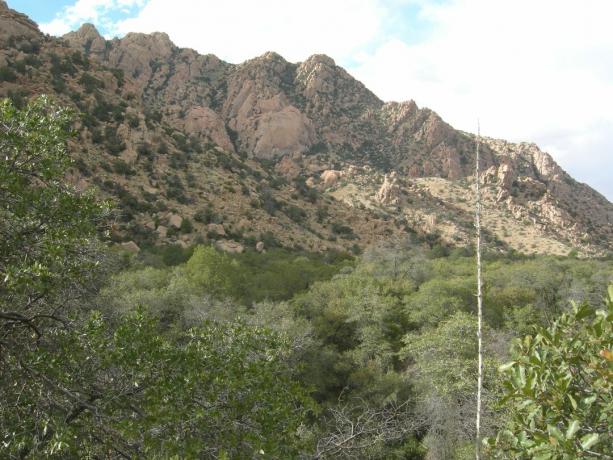 Cochises østlige højborg, Dragoon Mountains, det sydøstlige Arizona.