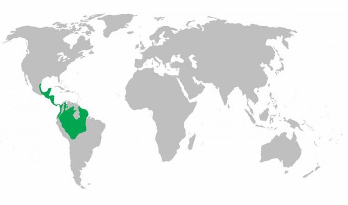 Kort over spider-abe-distribution